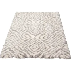 Shag Indoor Rug - 7 x 10