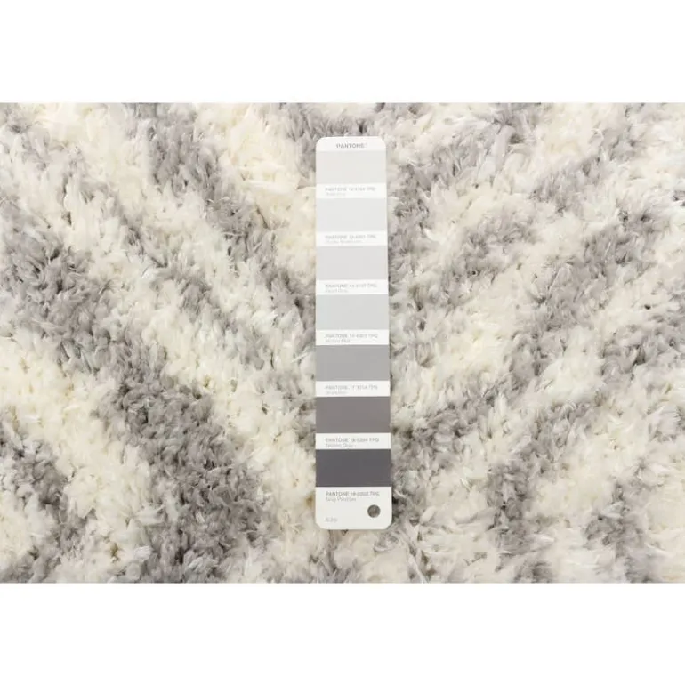 Shag Indoor Rug - 7 x 10
