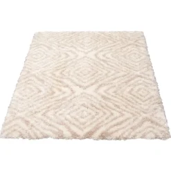 Shag Indoor Rug - 7 x 10