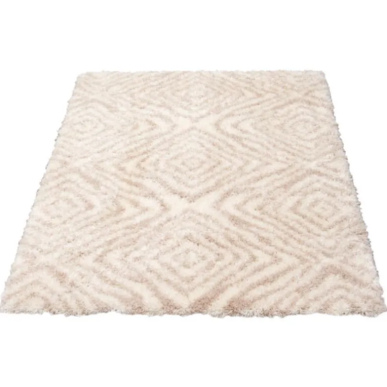 Shag Indoor Rug - 7 x 10