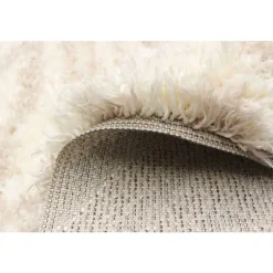 Shag Indoor Rug - 7 x 10