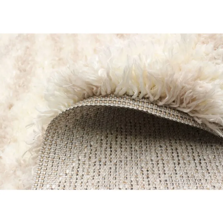 Shag Indoor Rug - 7 x 10
