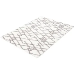 Shag Indoor Rug - 8 x 10