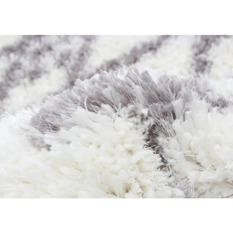 Shag Indoor Rug - 8 x 10