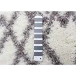 Shag Indoor Rug - 8 x 10