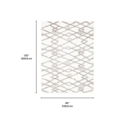 Shag Indoor Rug - 8 x 10