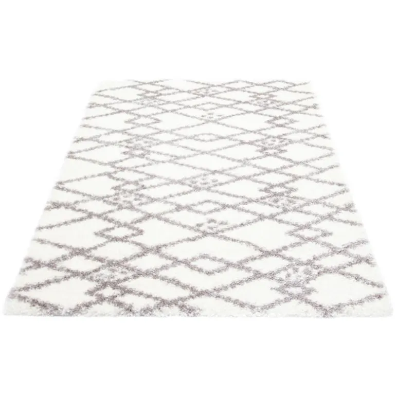 Shag Indoor Rug - 8 x 10