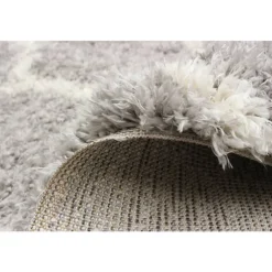 Shag Indoor Rug - 7 x 10