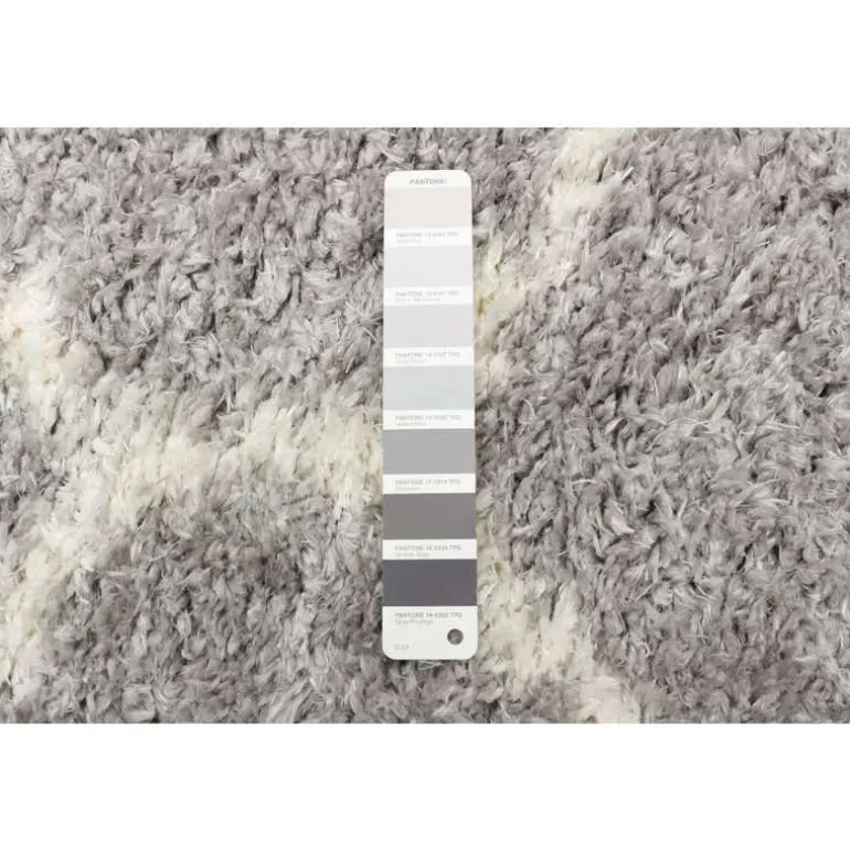 Shag Indoor Rug - 7 x 10