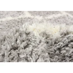 Shag Indoor Rug - 7 x 10