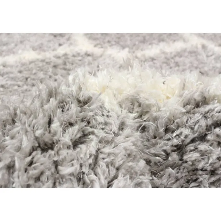Shag Indoor Rug - 7 x 10