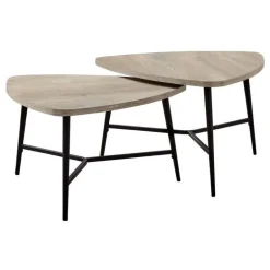 Table set - 2pcs set / taupe reclaimed wood / black metal - Monarch