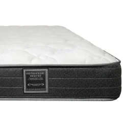 Twin Medium-FirmMattress with Springs - 39"