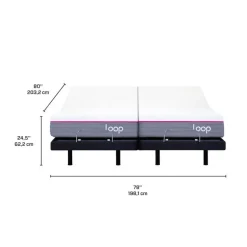 Two Adjustable Beds with Two Loop Mattresses (39"x78")