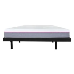 Two Adjustable Beds with Two Loop Mattresses (39"x78")