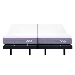 Two Adjustable Beds with Two Loop Mattresses (39