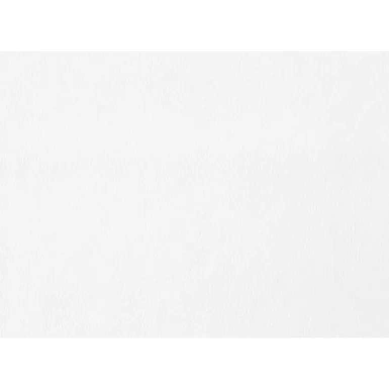 Upholstered Chairs (Set of 2) - White - Monarch