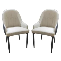 Upholstered Chairs (Set of 2) - Beige and Blue-Grey