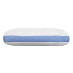 Warm & Cool Pillow